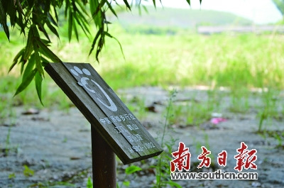 江門鶴山雙合段潮人徑標識,。 南方日報記者 潘偉珊 攝 江門鶴山雙合段潮人徑標識。 南方日報記者 潘偉珊 攝