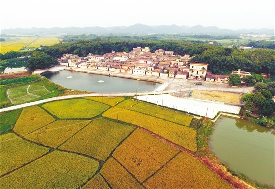 陳丹青故里,。 陳丹青故里。