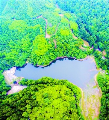 云勇森林公園有如城市“綠肺”,。 佛山日報記者 周春 攝 