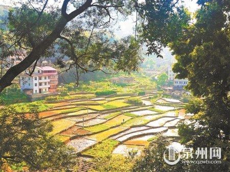 永春縣吾峰鎮(zhèn)吾頂村具有發(fā)展旅游的潛力,，讓不少在外的村民漸漸回歸,。 （梁白瑜 攝）