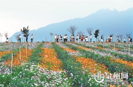 安溪虎邱雙格村的田園風(fēng)光 （張九強 攝）