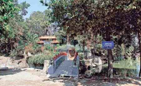 雜草叢生的中國(guó)公園 雜草叢生的中國(guó)公園