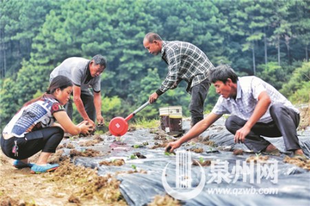 左腳殘疾的方壽玲(左一)在林連生帶領下創(chuàng)建了陽泊嶺農(nóng)場基地,，吸納了兩名殘疾人就業(yè),。(戴涵琦 攝)