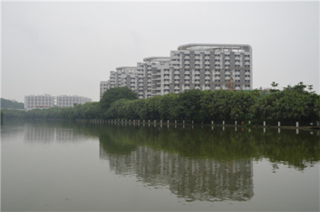 今年，東湖公園與五邑大學(xué)打開“圍墻”,，新增了四個(gè)出入口,。潘偉珊攝