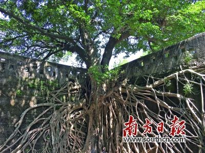 揭陽(yáng)惠來(lái)沿海海絲遺跡之澳角炮臺(tái)