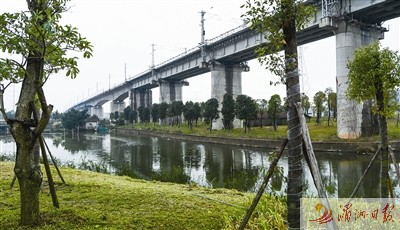 水系綠化——涵江梧梓河綠化。