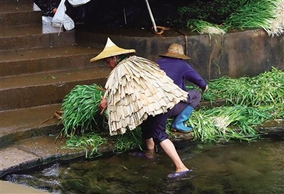 頭戴斗笠身披蓑衣的勞作者,。