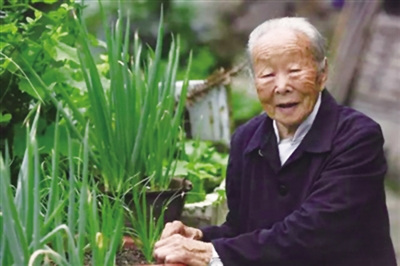 110歲的汪阿葉(女)是目前永嘉最年長的老人。 葉新人 攝 110歲的汪阿葉(女)是目前永嘉最年長的老人,。 葉新人 攝