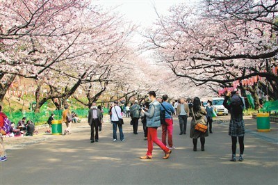 東京上野公園,。 　　資料圖片