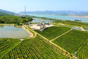 官沖窯遺址現(xiàn)在已經(jīng)變成了農(nóng)田林地,。 官沖窯遺址現(xiàn)在已經(jīng)變成了農(nóng)田林地。