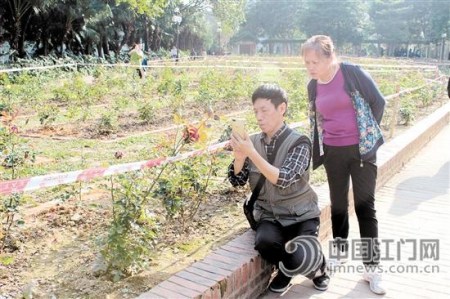 兩位市民正在東湖公園賞花,。何傳貴/攝