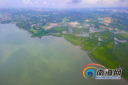 俯瞰文昌八門灣紅樹(shù)林海上森林公園初露新顏,。