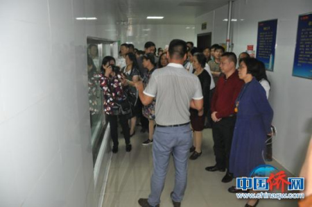 圖為僑商在雙匯集團考察,。林浩 攝 圖為僑商在雙匯集團考察。林浩 攝