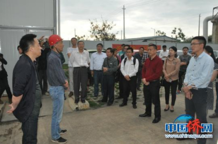 圖為僑商在三祥熱電公司考察。林浩 攝 圖為僑商在三祥熱電公司考察,。林浩 攝