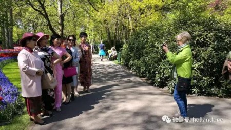 (一網(wǎng)荷蘭微信公眾號(hào)圖片) (一網(wǎng)荷蘭微信公眾號(hào)圖片)