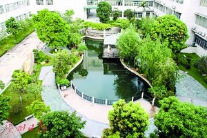 何杰文捐資助建的龍江新醫(yī)院,。 何杰文捐資助建的龍江新醫(yī)院。