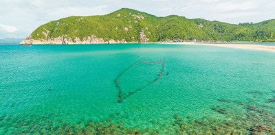 　大洲島的清澈海域,。 謝 墨攝