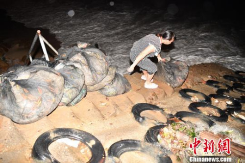 深圳南澳漁民應(yīng)戰(zhàn)臺風(fēng)“苗柏”來襲 陳文 攝 深圳南澳漁民應(yīng)戰(zhàn)臺風(fēng)“苗柏”來襲 陳文 攝