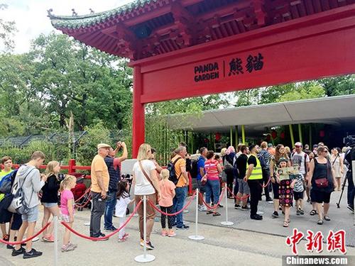 圖為德國(guó)觀眾在排隊(duì)等待進(jìn)入大熊貓館與熊貓親近。 <a target='_blank' >中新社</a>記者 鐘欣 攝 圖為德國(guó)觀眾在排隊(duì)等待進(jìn)入大熊貓館與熊貓親近,。 <a target='_blank' >中新社</a>記者 鐘欣 攝