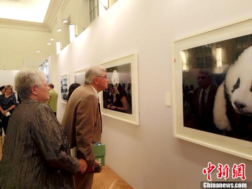 圖為德國(guó)觀眾在參觀7月5日開(kāi)幕的由中華人民共和國(guó)國(guó)務(wù)院新聞辦公室,、中華人民共和國(guó)駐德意志聯(lián)邦共和國(guó)大使館主辦,四川省林業(yè)廳,、成都市人民政府共同承辦的“熊貓與世界—中國(guó)大熊貓保護(hù)文化藝術(shù)成就展”,。 <a target='_blank' >中新社</a>記者 鐘欣 攝 圖為德國(guó)觀眾在參觀7月5日開(kāi)幕的由中華人民共和國(guó)國(guó)務(wù)院新聞辦公室,、中華人民共和國(guó)駐德意志聯(lián)邦共和國(guó)大使館主辦,四川省林業(yè)廳,、成都市人民政府共同承辦的“熊貓與世界—中國(guó)大熊貓保護(hù)文化藝術(shù)成就展”,。 <a target='_blank' >中新社</a>記者 鐘欣 攝