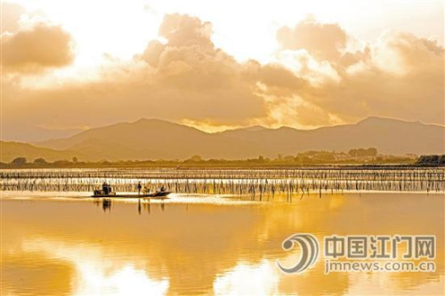 紅樹林日出景觀,。 馮文鋒 攝 紅樹林日出景觀,。 馮文鋒 攝