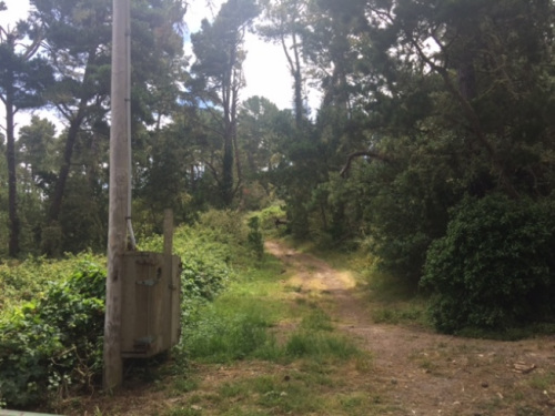 美國(guó)的國(guó)家公園基本都人煙稀少,。(美國(guó)《世界日?qǐng)?bào)》/張宏 攝)