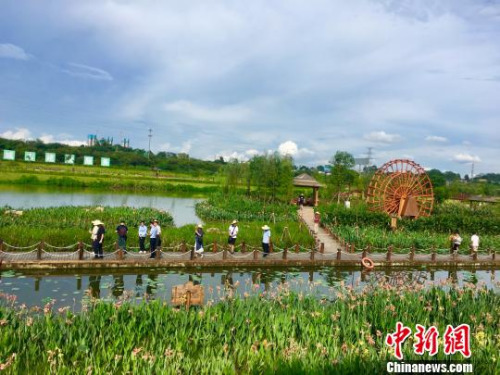 海外華文媒體代表走進(jìn)那考河濕地公園,?！≈炝?攝