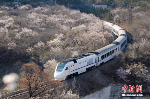 資料圖：北京居庸關(guān)京張鐵路和諧號(hào)列車穿過花海,。<a target='_blank' >中新社</a>記者 廖攀 攝