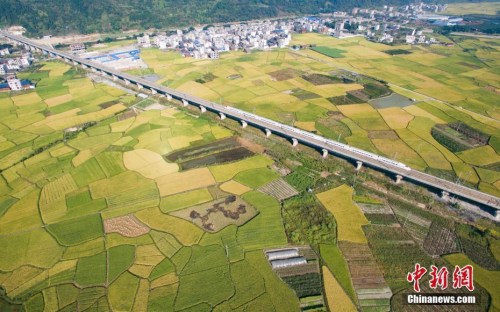 資料圖：一列動車行駛在貴廣高鐵貴州省榕江縣郊外田野高架橋上。<a target='_blank' >中新社</a>記者 賀俊怡 攝