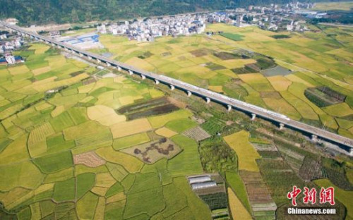 五年來，生態(tài)文明建設(shè)受到前所未有的重視,，綠色發(fā)展和綠色生活成為大勢所趨,。圖為2016年10月4日，一列動車行駛在貴廣高鐵貴州省榕江縣郊外田野高架橋上,。從空中俯瞰,，色彩斑斕的稻田，猶如秋天繪制的“調(diào)色板”,。<a target='_blank' >中新社</a>記者 賀俊怡 攝