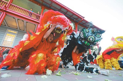 蘇里南首都帕拉馬里博，華裔民眾進(jìn)行舞獅表演,，歡迎中國傳統(tǒng)春節(jié)到來,。 　　人民視覺