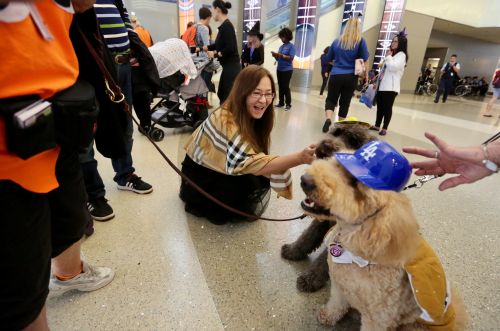 一位旅客在與寵物犬互動,。(美國《僑報》/邱晨 攝)