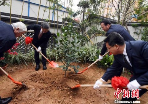 　福建省副省長李德金(右二),，日本沖繩縣知事翁長雄志(左二),，日本沖繩縣議會議長新里米吉(左一)等嘉賓，共同在福州琉球館公園內種下“福木”,?！∮浾邉⒖筛?攝