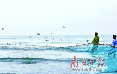 目前,，潮州近岸海域水質(zhì)狀況總體良好。圖為饒平大埕灣,，海面上海鳥紛飛,。黃慶明 攝