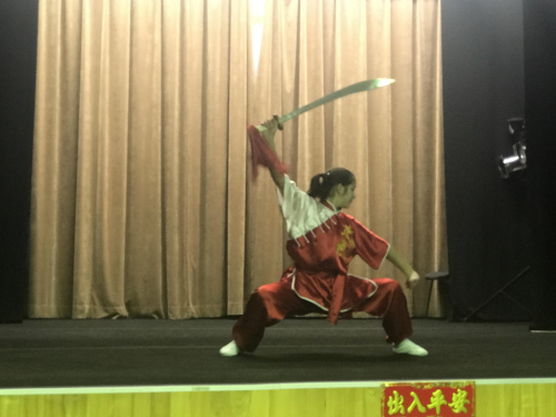 武術(shù)表演。