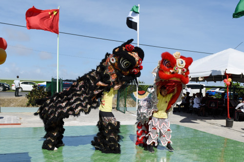 舞獅表演,。