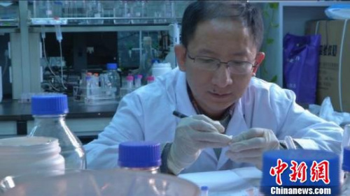 中科院合肥物質(zhì)研究院的科學(xué)家正在潛心工作?!O策 攝 中科院合肥物質(zhì)研究院的科學(xué)家正在潛心工作,?!O策 攝