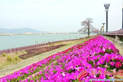 北堤上臨水遠(yuǎn)眺,鳳城春光無限,。 北堤上臨水遠(yuǎn)眺,,鳳城春光無限,。