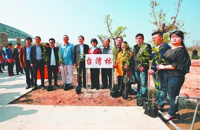 臺(tái)胞在湖石淉水生態(tài)公園種下一片“臺(tái)灣林”,。