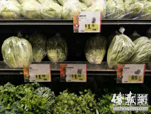 超市里的蔬菜,。(美國僑報網(wǎng)/曹同慶 攝) 超市里的蔬菜,。(美國僑報網(wǎng)/曹同慶 攝)