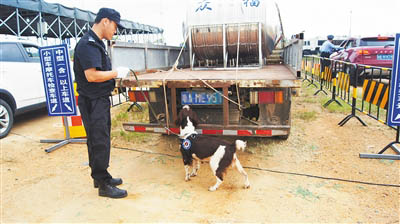 文昌市公安緝毒人員帶著緝毒犬開展檢查工作。