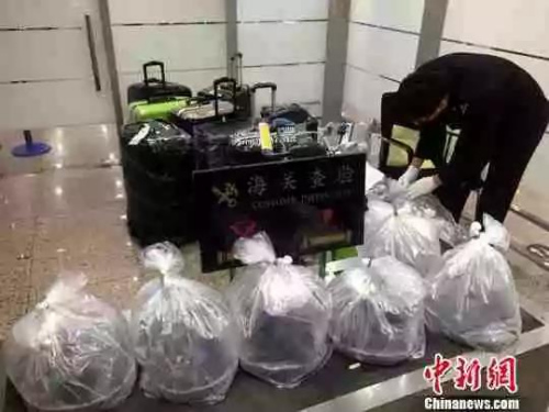 資料圖:海關(guān)查驗(yàn)物品 資料圖:海關(guān)查驗(yàn)物品