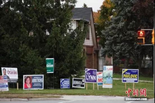 華人聚居區(qū)萬錦市（Markham）一處街頭，插著眾多參選人的競選廣告牌,。<a target='_blank' >中新社</a>記者 余瑞冬 攝