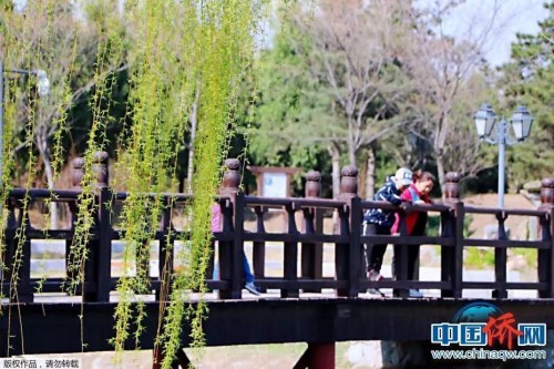 中國僑網(wǎng) 韓輝 攝 中國僑網(wǎng) 韓輝 攝