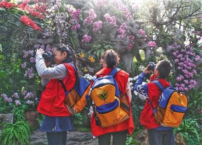 昨日(14日),植物館熱帶植物溫室內(nèi),,新京報(bào)小記者攝影組正在“蘭花墻”前取景拍攝,。新京報(bào)記者 尹亞飛 攝 昨日(14日),植物館熱帶植物溫室內(nèi),,新京報(bào)小記者攝影組正在“蘭花墻”前取景拍攝,。新京報(bào)記者 尹亞飛 攝