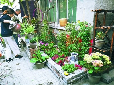 中央美院師生和居民一起建設(shè)微花園,。本報(bào)記者 于麗爽攝