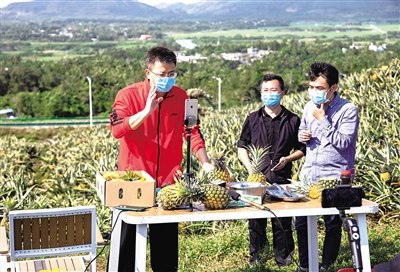 萬寧市委書記賀敬平(左)網(wǎng)絡(luò)直播幫助農(nóng)民賣菠蘿。