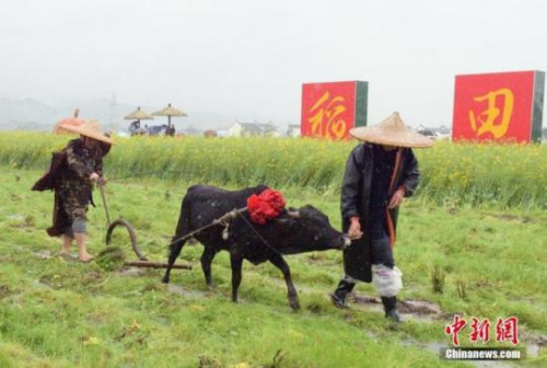 　資料圖：正值中國(guó)二十四節(jié)氣的春分,，湖南省安仁縣“趕分社”祭祀開(kāi)耕活動(dòng)在安仁縣稻田公園舉行,。<a target='_blank' >中新社</a>記者 唐志卓 攝