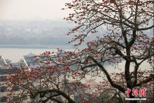 資料圖:廣東省潮州市韓愈紀(jì)念館附近景觀,。劉莉生 攝 資料圖:廣東省潮州市韓愈紀(jì)念館附近景觀。劉莉生 攝