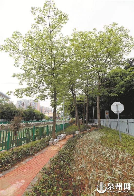 津淮街和淮秀路交叉口的口袋公園仍在建設中 